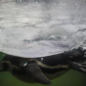 真人做爰免费视频观看
